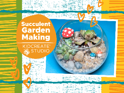 Succulent Garden Making at Pinewood Elementary- Monticello